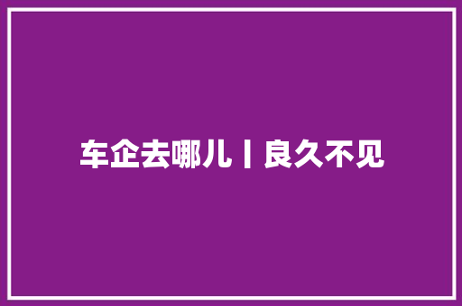 车企去哪儿丨良久不见