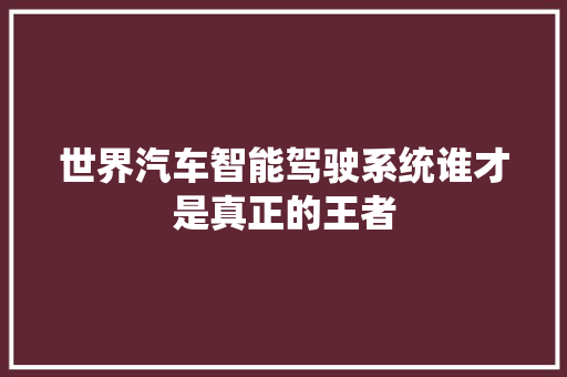 世界汽车智能驾驶系统谁才是真正的王者 汽车知识