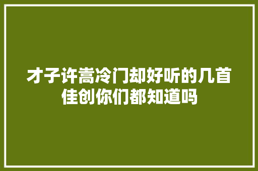 才子许嵩冷门却好听的几首佳创你们都知道吗