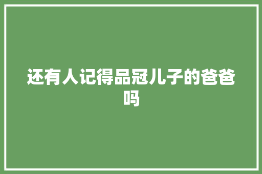 还有人记得品冠儿子的爸爸吗