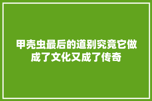 甲壳虫最后的道别究竟它做成了文化又成了传奇