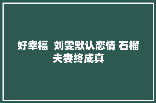 好幸福  刘雯默认恋情 石榴夫妻终成真