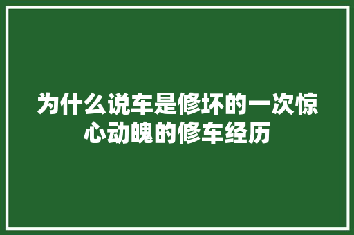 为什么说车是修坏的一次惊心动魄的修车经历