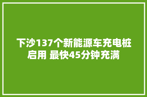下沙137个新能源车充电桩启用 最快45分钟充满