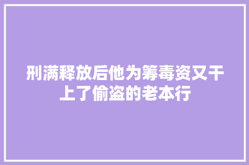 刑满释放后他为筹毒资又干上了偷盗的老本行