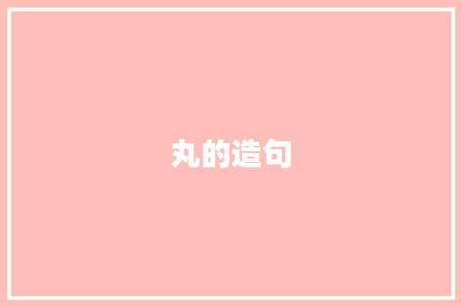 丸的造句