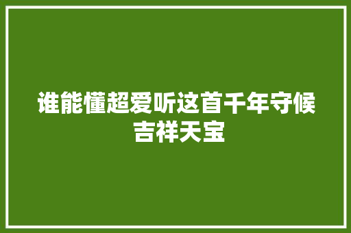 谁能懂超爱听这首千年守候 吉祥天宝