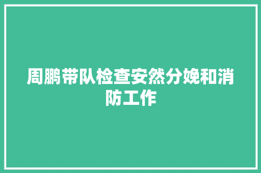 周鹏带队检查安然分娩和消防工作
