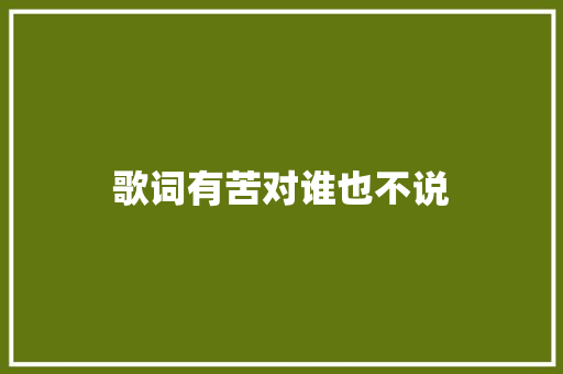 歌词有苦对谁也不说