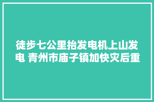徒步七公里抬发电机上山发电 青州市庙子镇加快灾后重建