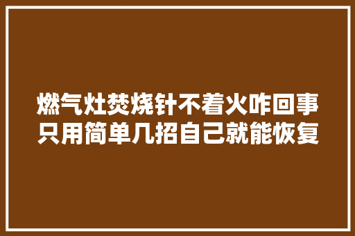燃气灶焚烧针不着火咋回事只用简单几招自己就能恢复