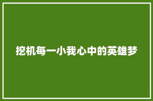 挖机每一小我心中的英雄梦