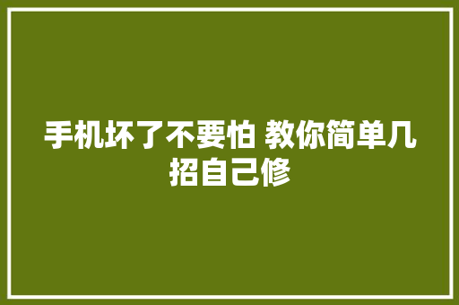手机坏了不要怕 教你简单几招自己修