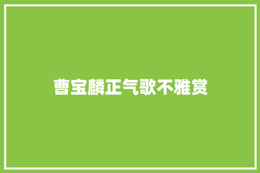 曹宝麟正气歌不雅赏 休闲娱乐
