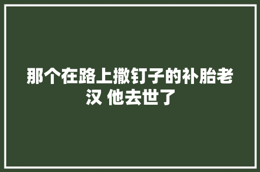 那个在路上撒钉子的补胎老汉 他去世了