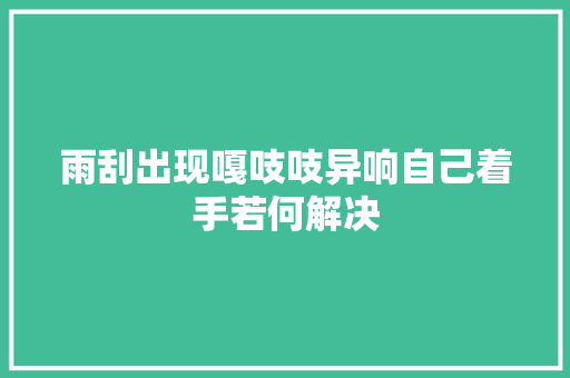 雨刮出现嘎吱吱异响自己着手若何解决