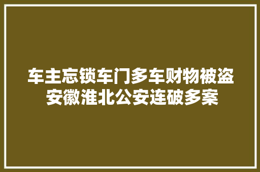 车主忘锁车门多车财物被盗 安徽淮北公安连破多案