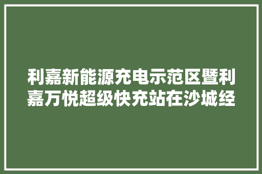 利嘉新能源充电示范区暨利嘉万悦超级快充站在沙城经开区启动