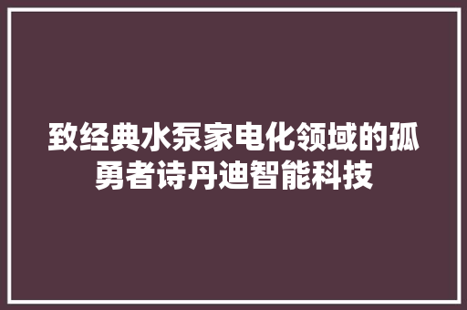 致经典水泵家电化领域的孤勇者诗丹迪智能科技