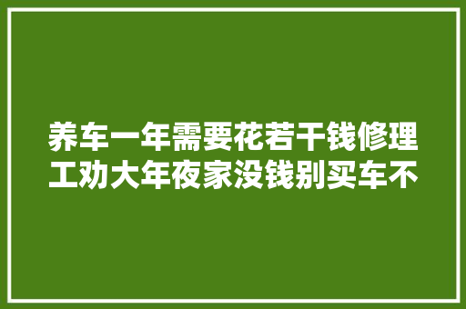 养车一年需要花若干钱修理工劝大年夜家没钱别买车不开也赔钱