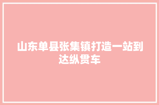 山东单县张集镇打造一站到达纵贯车