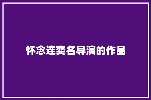 怀念连奕名导演的作品