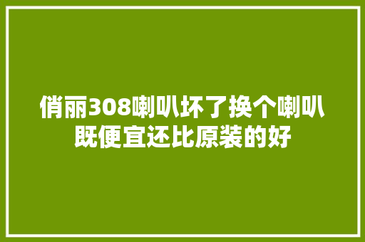 俏丽308喇叭坏了换个喇叭既便宜还比原装的好  第1张
