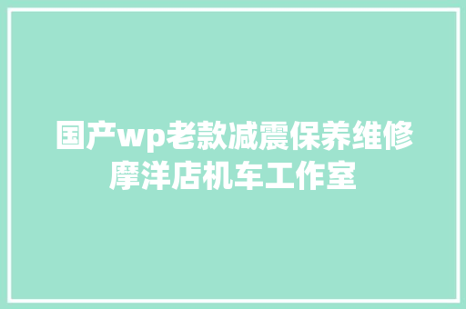 国产wp老款减震保养维修摩洋店机车工作室