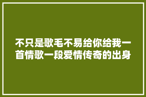 不只是歌毛不易给你给我一首情歌一段爱情传奇的出身