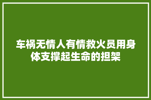 车祸无情人有情救火员用身体支撑起生命的担架