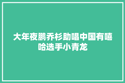 大年夜鹏乔杉助唱中国有嘻哈选手小青龙  第1张