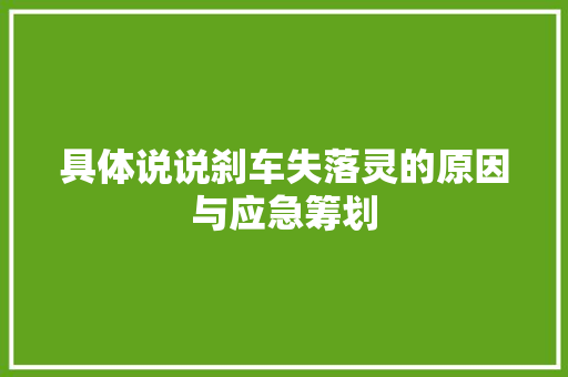 具体说说刹车失落灵的原因与应急筹划