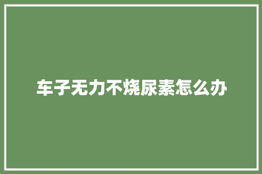 车子无力不烧尿素怎么办