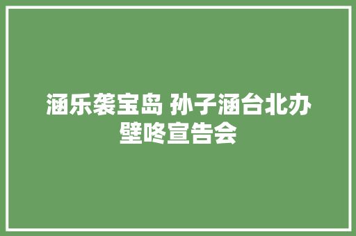 涵乐袭宝岛 孙子涵台北办壁咚宣告会