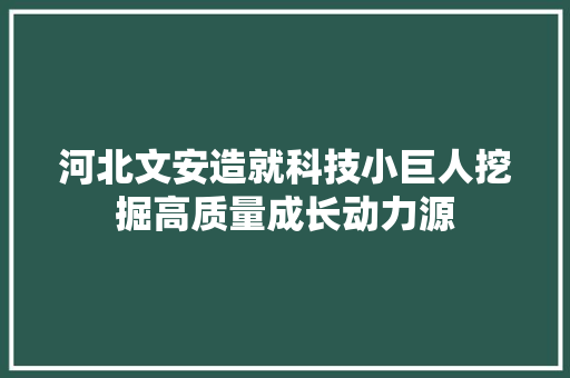 河北文安造就科技小巨人挖掘高质量成长动力源