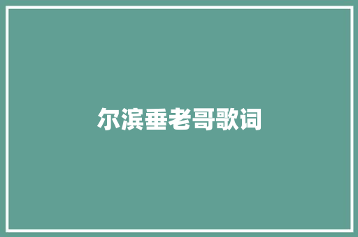 尔滨垂老哥歌词 休闲娱乐