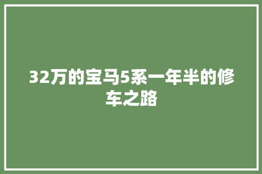 32万的宝马5系一年半的修车之路 汽车知识