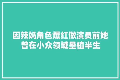 因辣妈角色爆红做演员前她曾在小众领域垦植半生  第1张