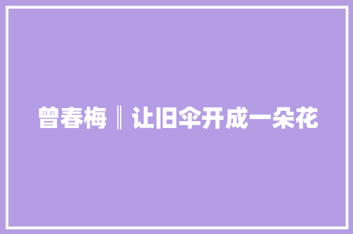 曾春梅║让旧伞开成一朵花  第1张