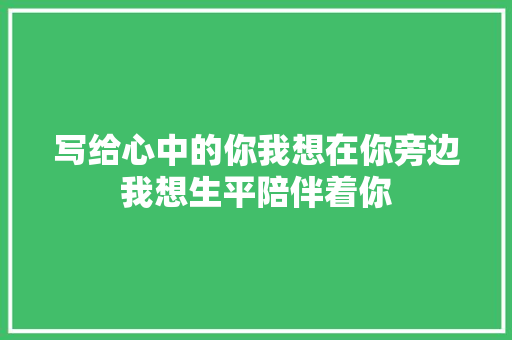 写给心中的你我想在你旁边我想生平陪伴着你  第1张