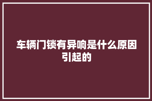 车辆门锁有异响是什么原因引起的  第1张