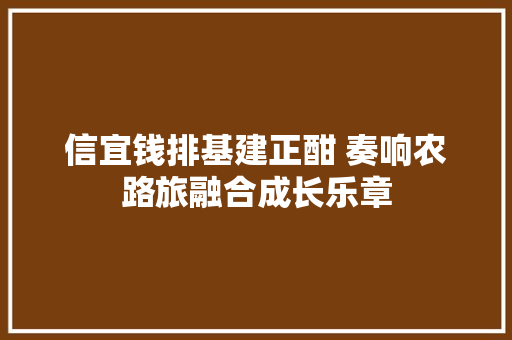 信宜钱排基建正酣 奏响农路旅融合成长乐章  第1张