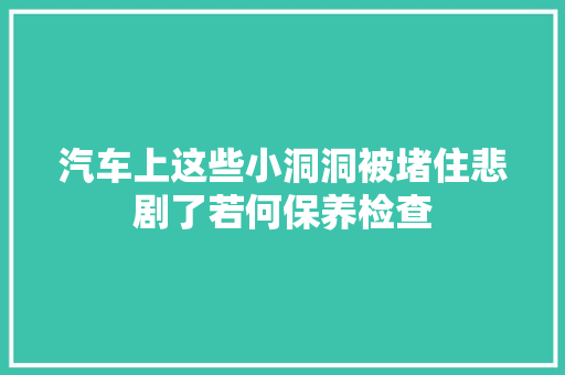 汽车上这些小洞洞被堵住悲剧了若何保养检查