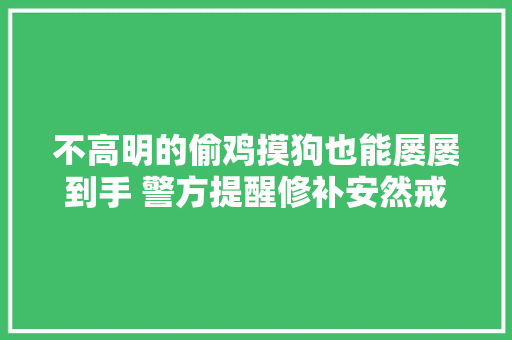 不高明的偷鸡摸狗也能屡屡到手 警方提醒修补安然戒备短板很重要