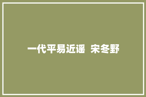一代平易近谣  宋冬野 第1张