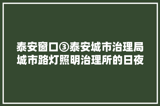 泰安窗口③泰安城市治理局城市路灯照明治理所的日夜光明守护