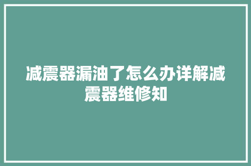 减震器漏油了怎么办详解减震器维修知