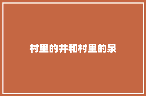 村里的井和村里的泉