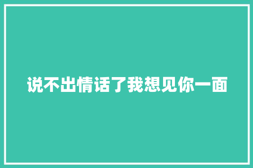 说不出情话了我想见你一面