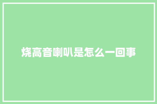 烧高音喇叭是怎么一回事